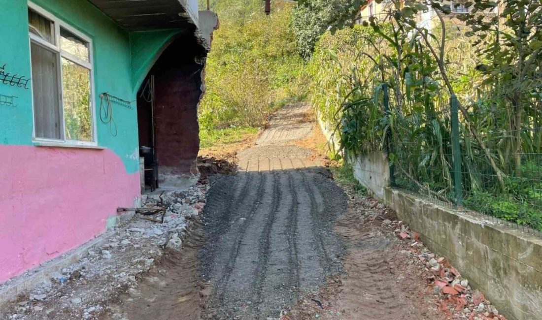 Trabzon Büyükşehir Belediyesi, Araklı ilçesine bağlı Pervane Mahallesi’nde yaşayan diyaliz