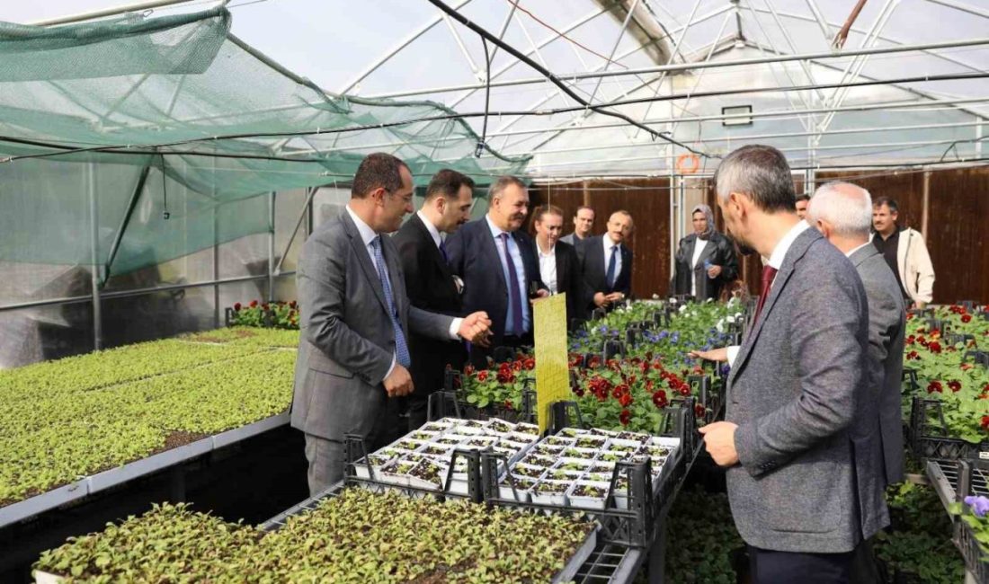 Trabzon İl Tarım ve Orman Müdürlüğünce, Tarımsal Arazilerin Kullanımının Etkinleştirilmesi