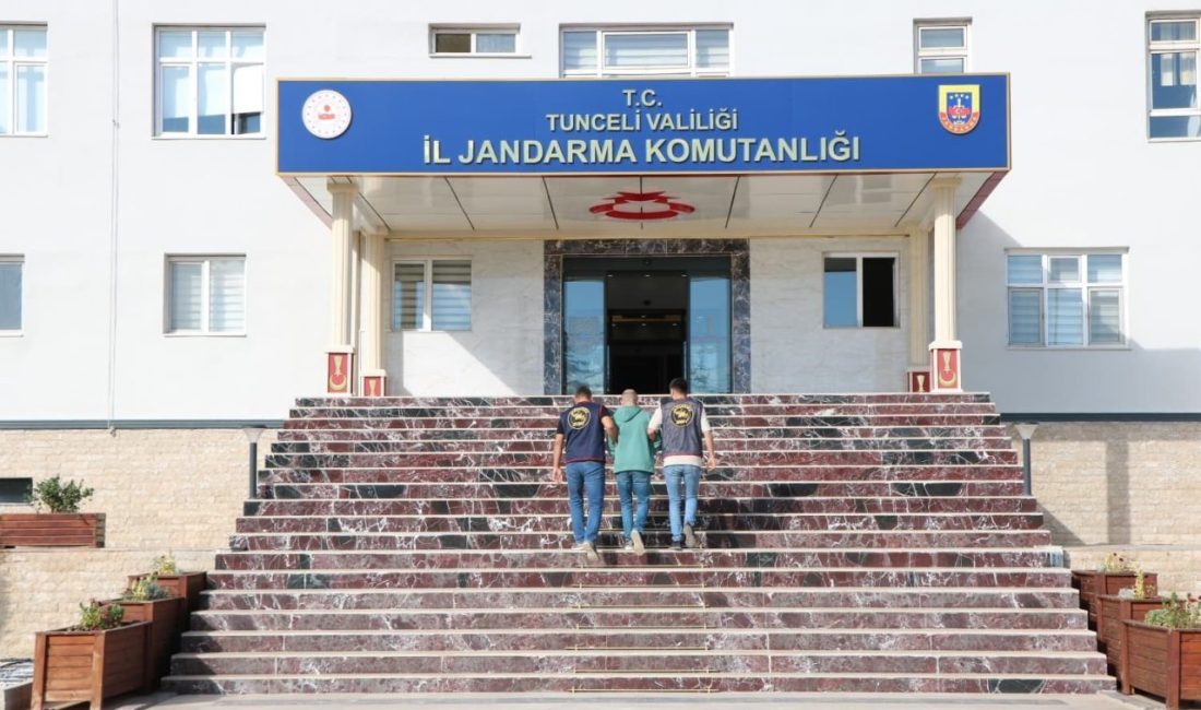 Tunceli’de jandarma ekipleri tarafından yapılan çalışmada, 16 ilde toplam 29