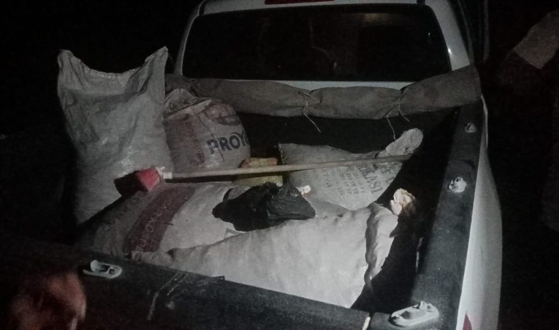 Tunceli’de jandarma ekipleri tarafından yapılan operasyonda 200 kilogram dağ sarımsağı