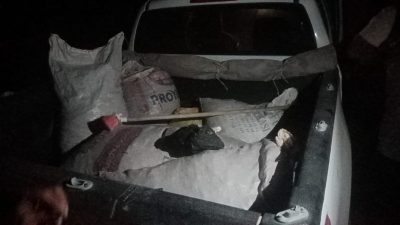 Tunceli’de jandarma ekipleri tarafından yapılan operasyonda 200 kilogram dağ sarımsağı