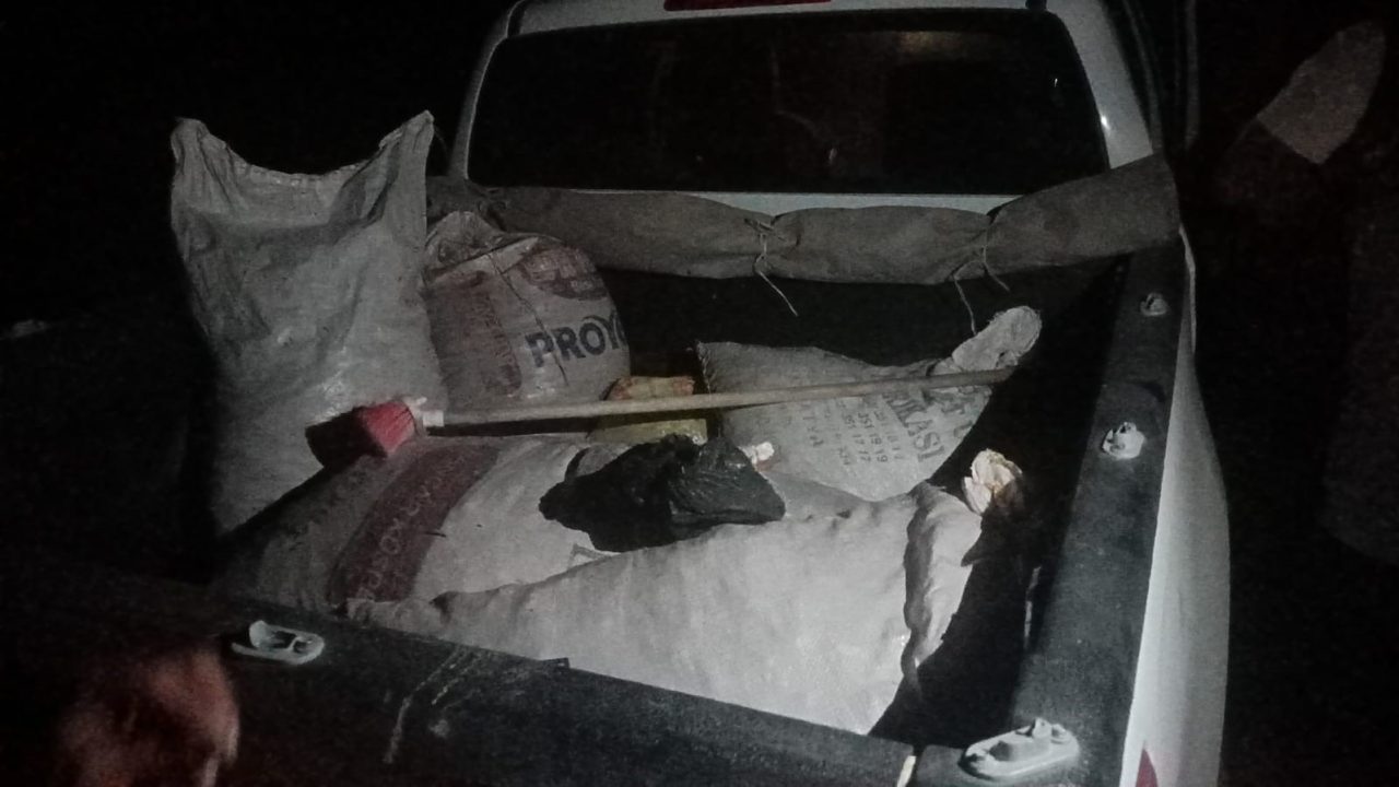 Tunceli’de jandarma ekipleri tarafından yapılan operasyonda 200 kilogram dağ sarımsağı