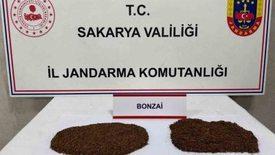 Sakarya’nın Serdivan ve Sapanca ilçelerinde jandarma ekipleri tarafından gerçekleştirilen uyuşturucu