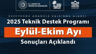 2025 Yılı Teknik Destek Programı 5. dönem başvuruları değerlendirme süreci