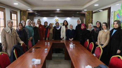 Sivas AK Parti Kadın Kolları, 25 Kasım Dünya Kadına Şiddetle