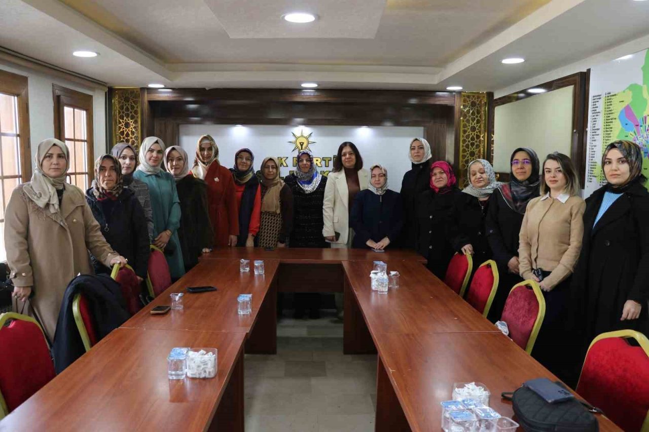 Sivas AK Parti Kadın Kolları, 25 Kasım Dünya Kadına Şiddetle