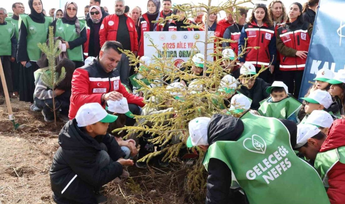 2025 yılı, Cumhurbaşkanlığı tarafından ilan edilen “Aile Yılı” kapsamında anlamlı