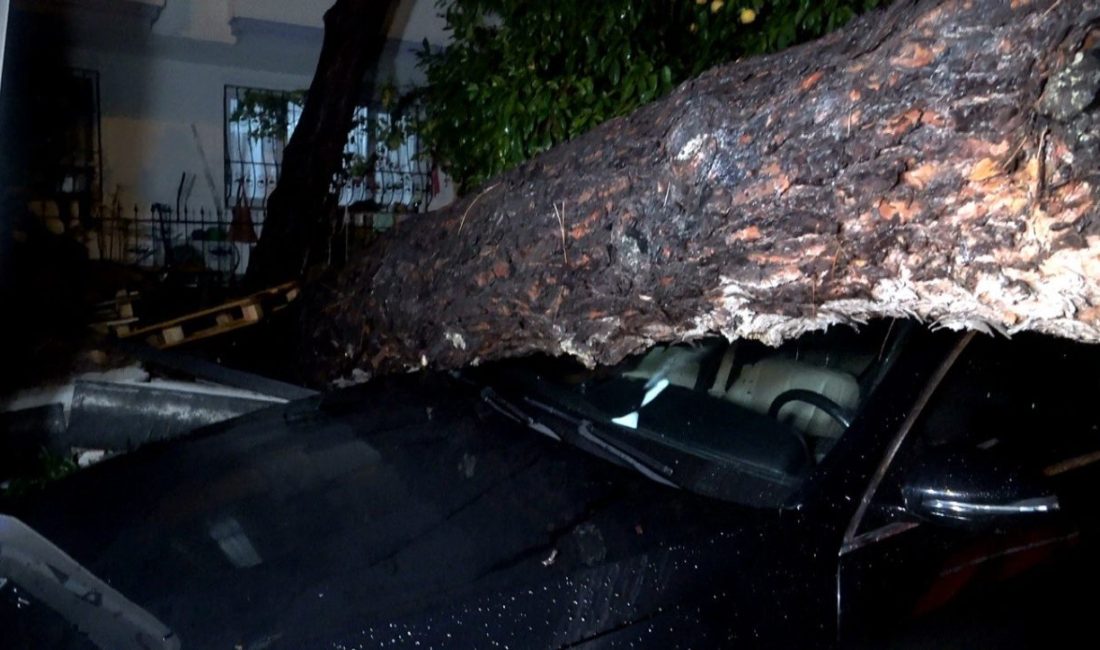 Sarı alarm verilen Antalya’da etkili olan yağış ve şiddetli rüzgar