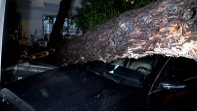 Sarı alarm verilen Antalya’da etkili olan yağış ve şiddetli rüzgar