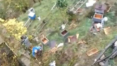 Trabzon’un Araklı ilçesine bağlı Taşgeçit Mahallesi’nde arıcılık yapan Ziya Kotaman’a