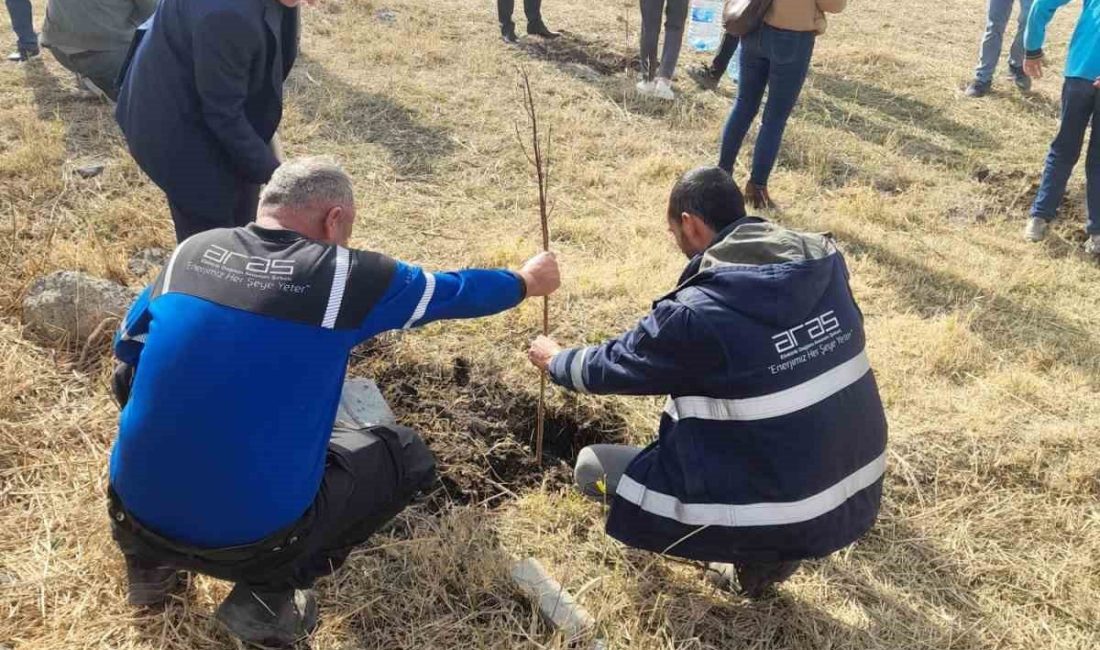 Aras Elektik, 11 Kasım Milli Ağaçlandırma Günü kapsamında sorumluluk bölgesinde