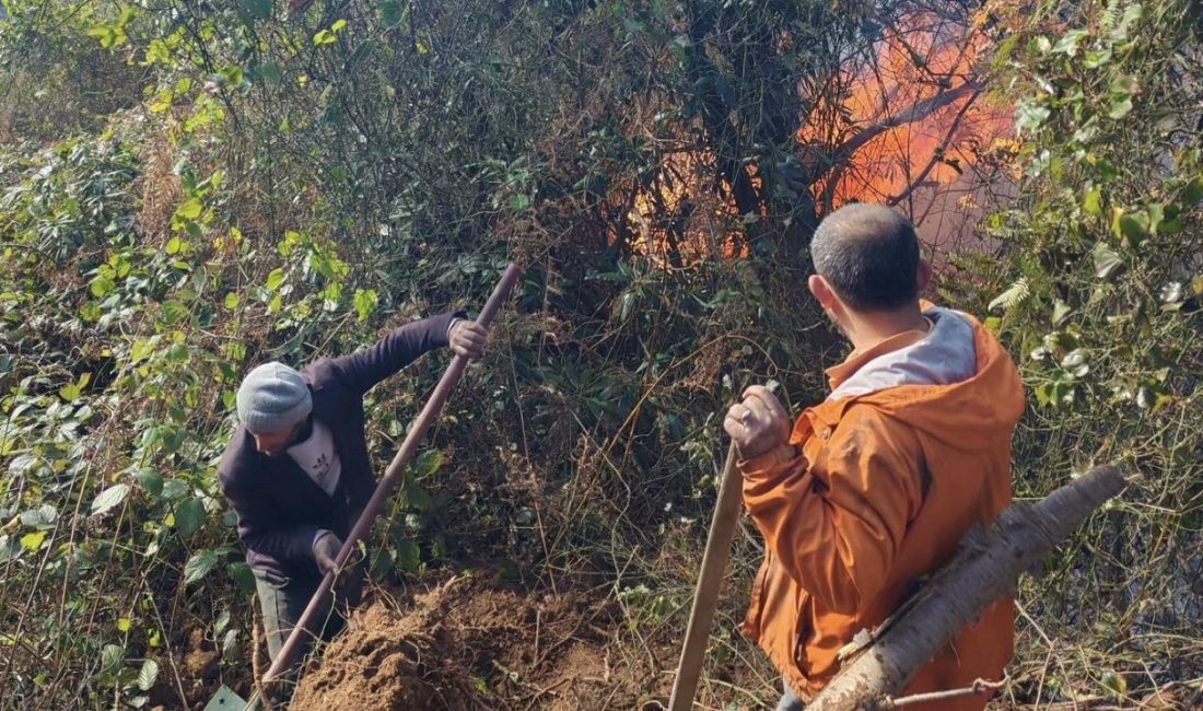 Artvin’in Hopa ilçesinde sabaha karşı başlayan orman yangını rüzgarın etkisiyle