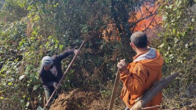 Artvin’in Hopa ilçesinde sabaha karşı başlayan orman yangını rüzgarın etkisiyle