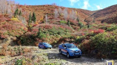 Artvin İl Emniyet Müdürlüğü ekiplerince il genelinde 31 Ekim-7 Kasım