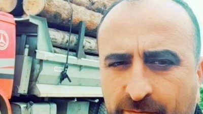 Artvin’in Borçka ilçesinde ormanlık alanda meydana gelen olayda üzerine ağaç