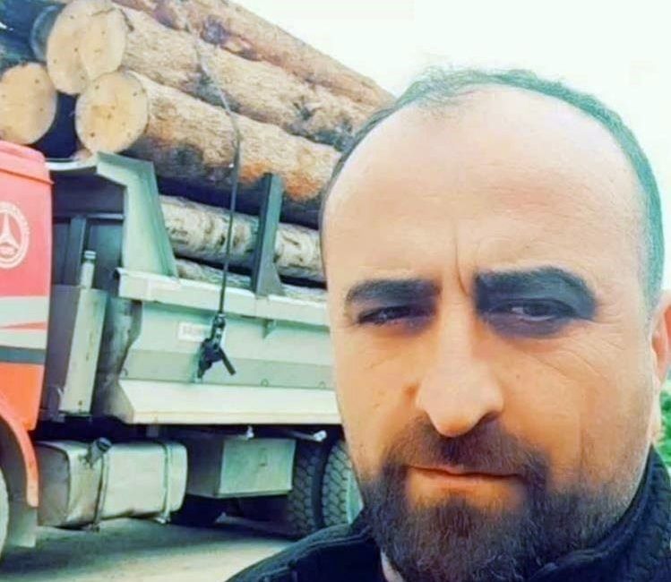 Artvin’in Borçka ilçesinde ormanlık alanda meydana gelen olayda üzerine ağaç