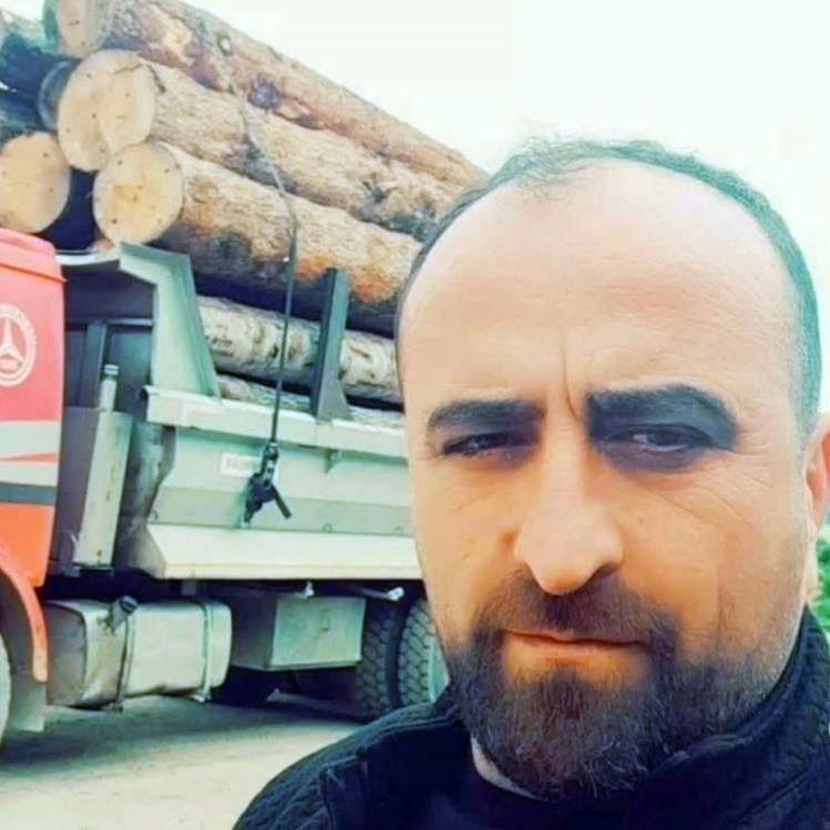 Artvin’in Borçka ilçesinde ormanlık alanda meydana gelen olayda üzerine ağaç