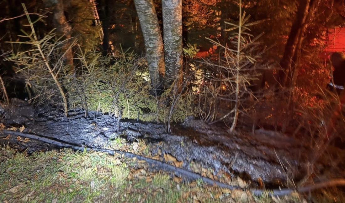 Artvin’de ziraat alanında çıkan yangın, ekiplerin hızlı müdahalesiyle büyümeden kontrol