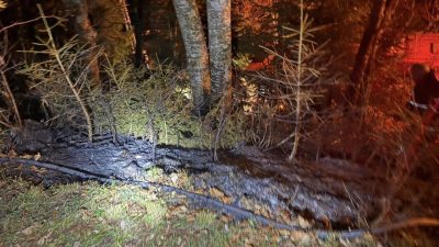 Artvin’de ziraat alanında çıkan yangın, ekiplerin hızlı müdahalesiyle büyümeden kontrol