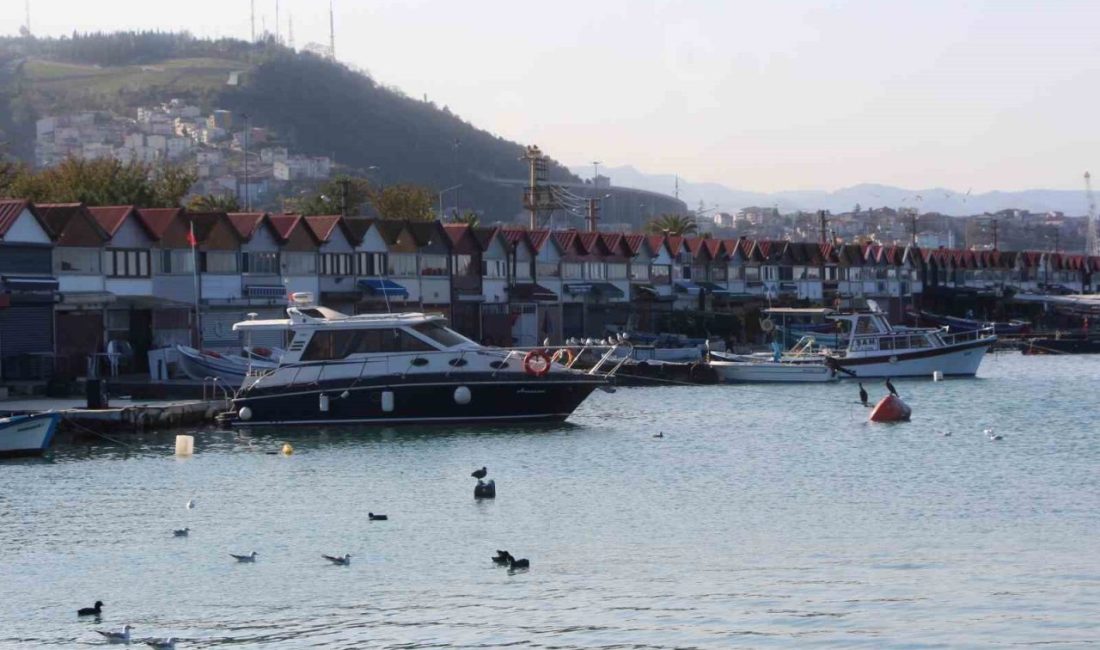 Trabzon’da amacı dışında kullanımı ile gündemde olan ve tapuları bulunmayan