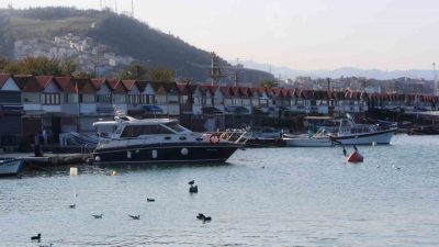 Trabzon’da amacı dışında kullanımı ile gündemde olan ve tapuları bulunmayan