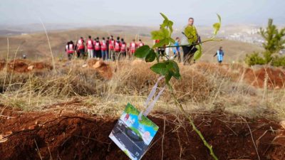 11 Kasım Milli Ağaçlandırma Günü kapsamında Bayburt’ta 97 bin 620