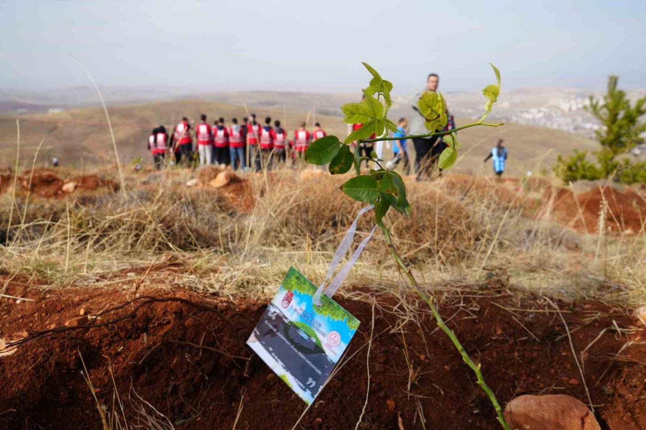 11 Kasım Milli Ağaçlandırma Günü kapsamında Bayburt’ta 97 bin 620