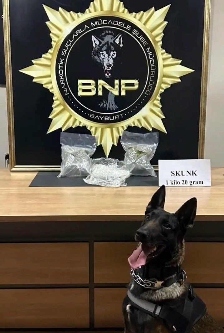 Bayburt İl Emniyet Müdürlüğü Narkotik Suçlarla Mücadele Şube Müdürlüğü ekiplerince