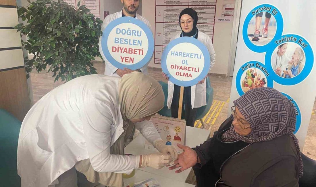 Dünya Diyabet Günü dolayısıyla ’Geleceğimizi Koruyalım’ sloganıyla Bayburt Devlet Hastanesinde