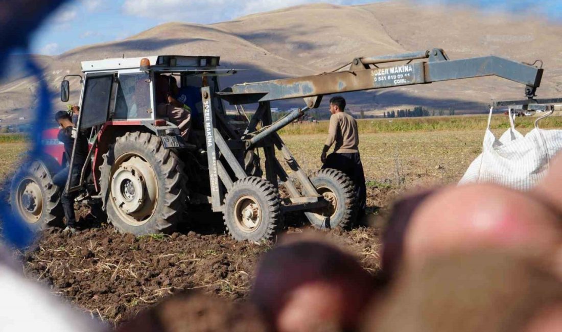 Bayburt’un en geniş tarım arazisine sahip köyü olan Çayıryolu’nda patates