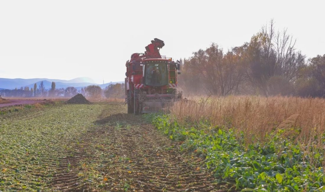 Bayburt’un Demirözü ilçesine bağlı Çiftetaş köyünde 2025 üretim sezonu kapsamında