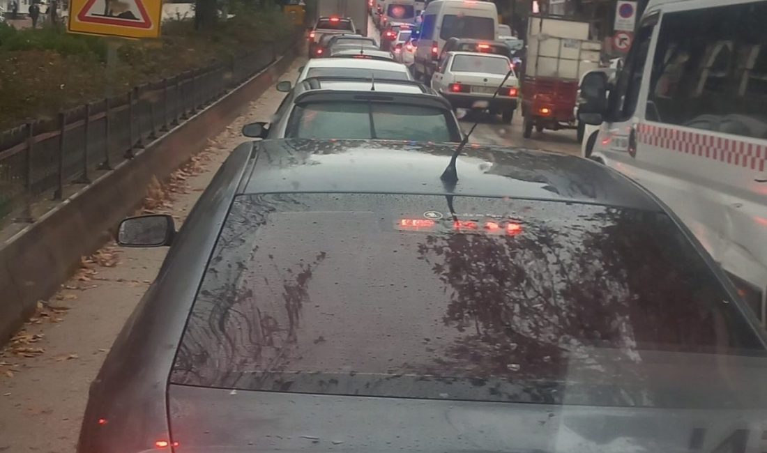 Bilecik Şoförler ve Otomobilciler Odası Başkanı Selman Aydeniz, bitmek bilmeyen