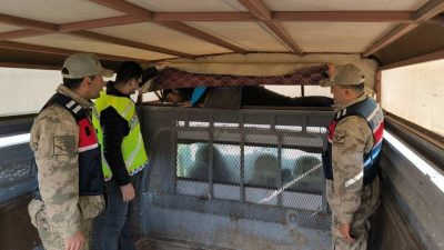 Jandarma ekipleri, Erzurum’daki sorumluluk alanlarında bir ay içinde yaptıkları operasyonlarda