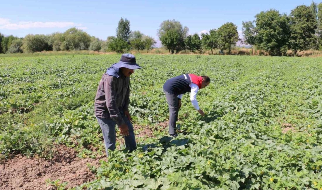 Erzincan’da 2026 üretim yılı için Çiftçi Kayıt Sistemi (ÇKS) başvurularında