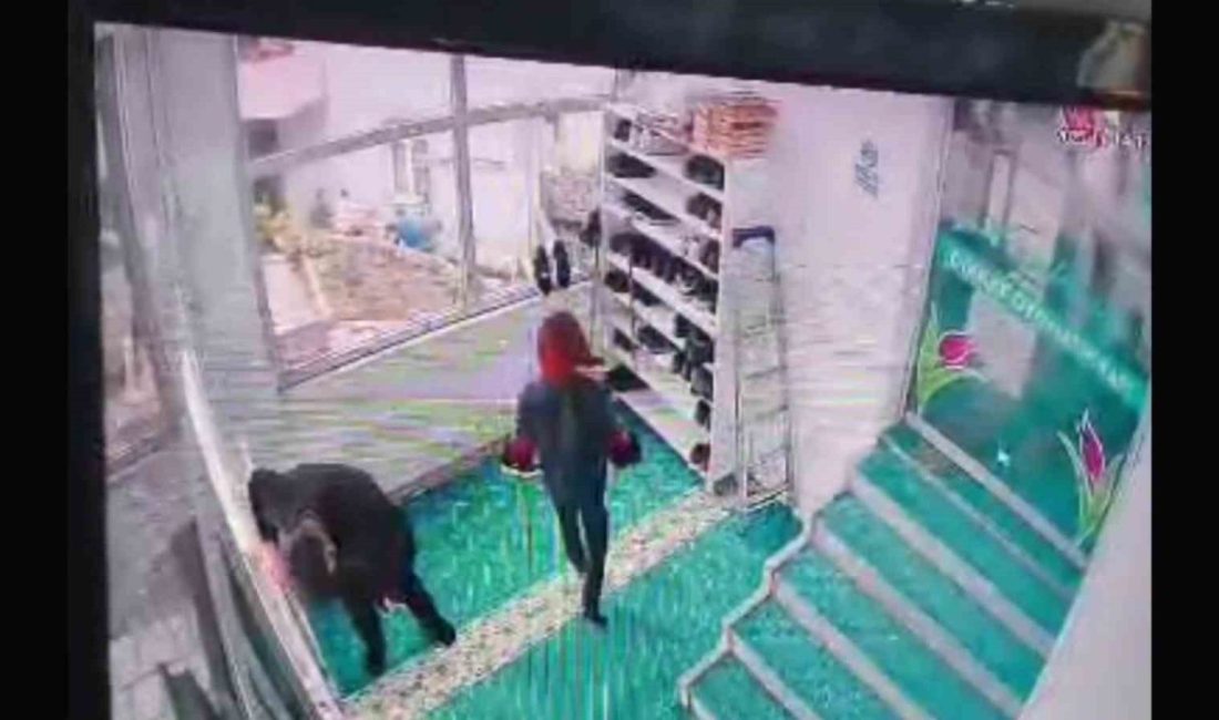 Ordu’nun Ünye ilçesinde cuma namazı kılmak için torunuyla birlikte camiye