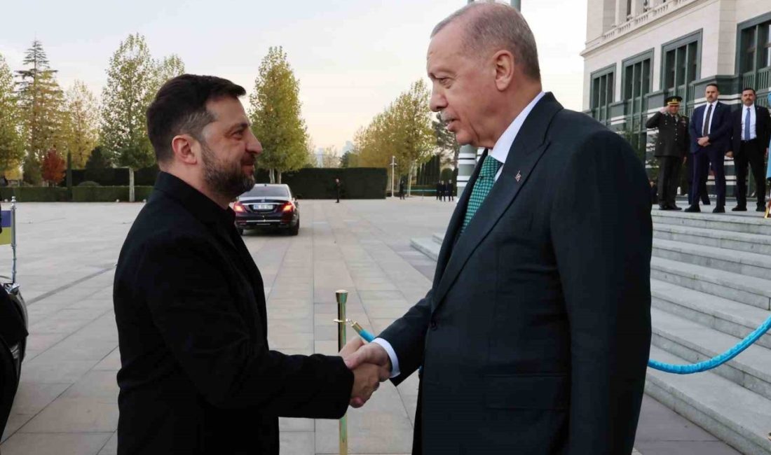 Cumhurbaşkanı Recep Tayyip Erdoğan, Ukrayna Devlet Başkanı Vladimir Zelenskiy ile