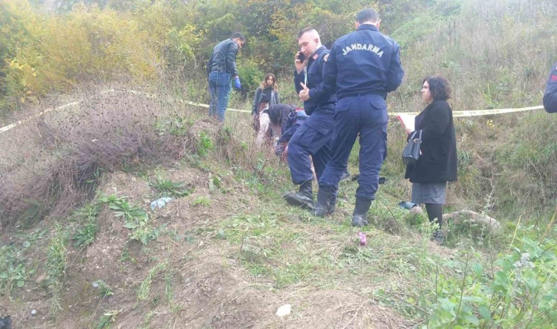 Sakarya’nın Akyazı ilçesi D-140 kara yolunda sürücüsünün kontrolünden çıkarak metrelerce