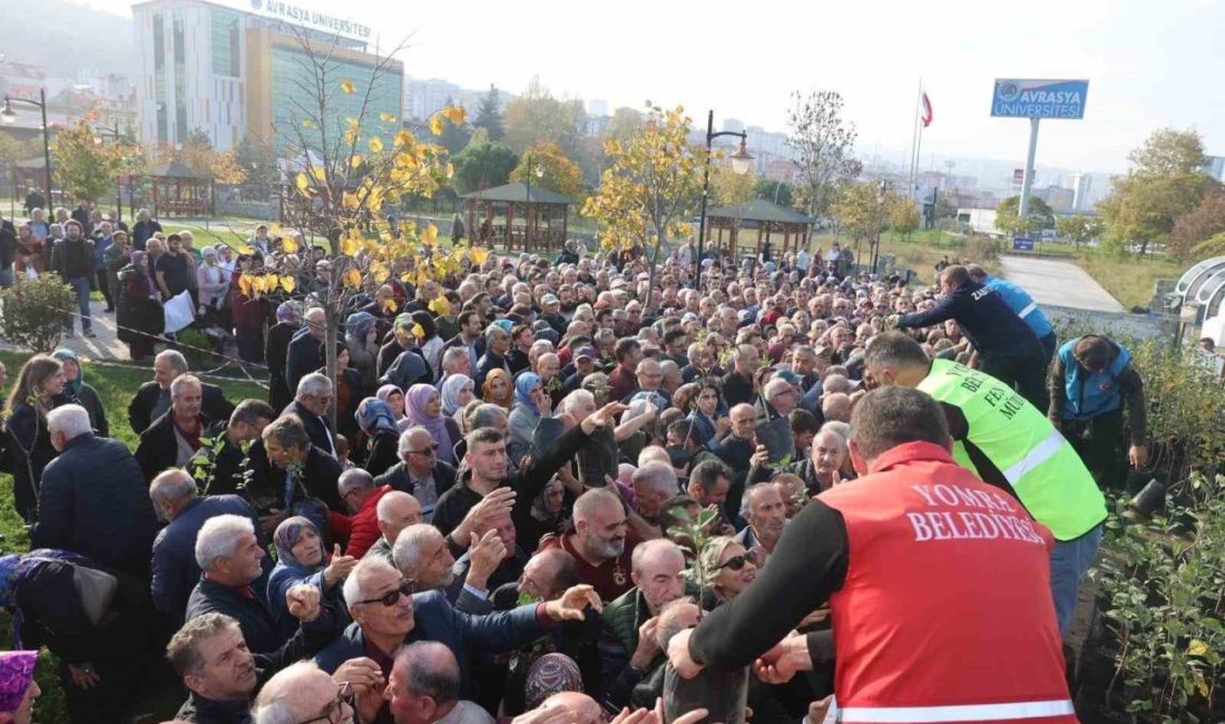 Trabzon’un Yomra ilçesinde bugün yöreye has ürün veren elma ve