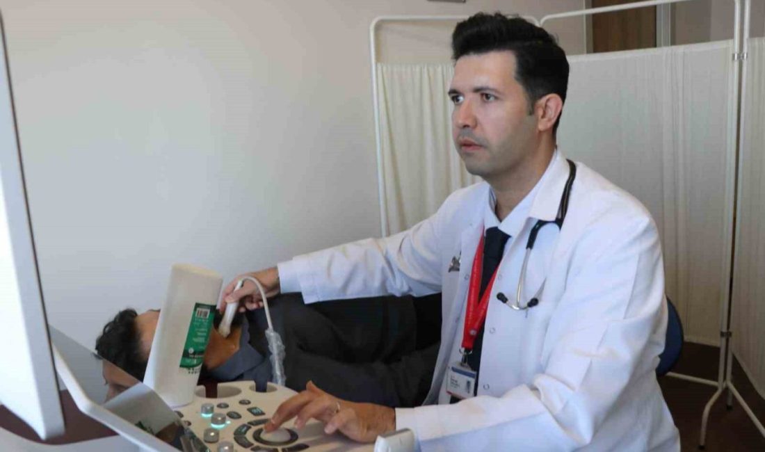 Zonguldak Bülent Ecevit Üniversitesi Tıp Fakültesi Endokrinoloji Bilim Dalı Öğretim