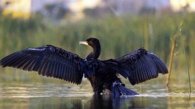 Munzur ile Keşiş Dağları arasındaki ovada yer alan ve 18