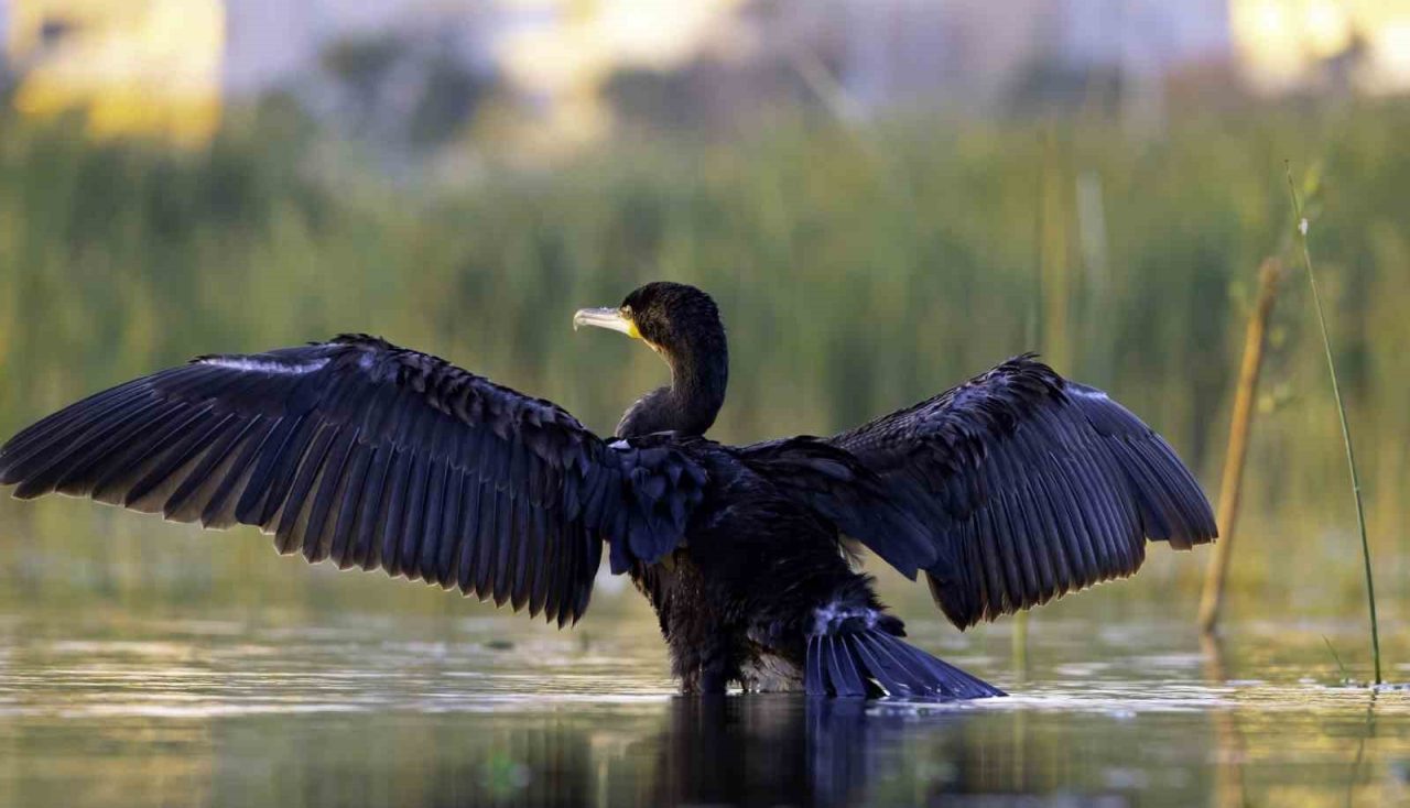 Munzur ile Keşiş Dağları arasındaki ovada yer alan ve 18