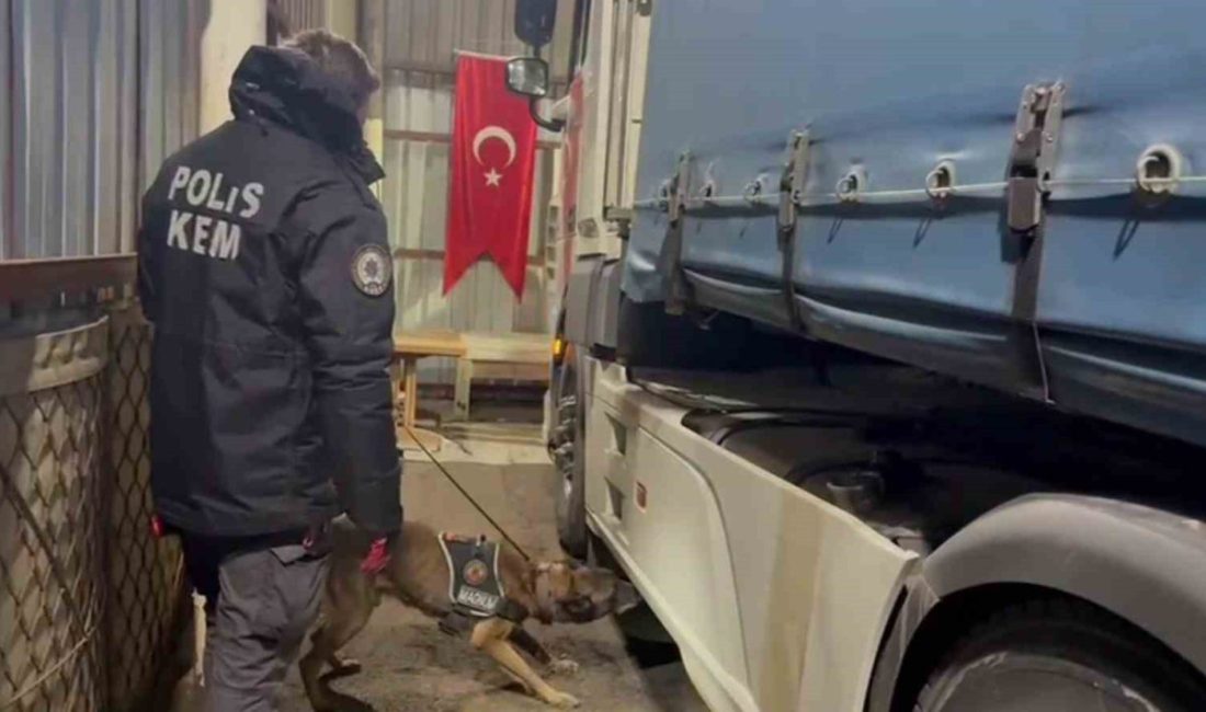 Erzurum’da polis ekipleri tarafından düzenlenen operasyonda piyasa değeri yaklaşık 336