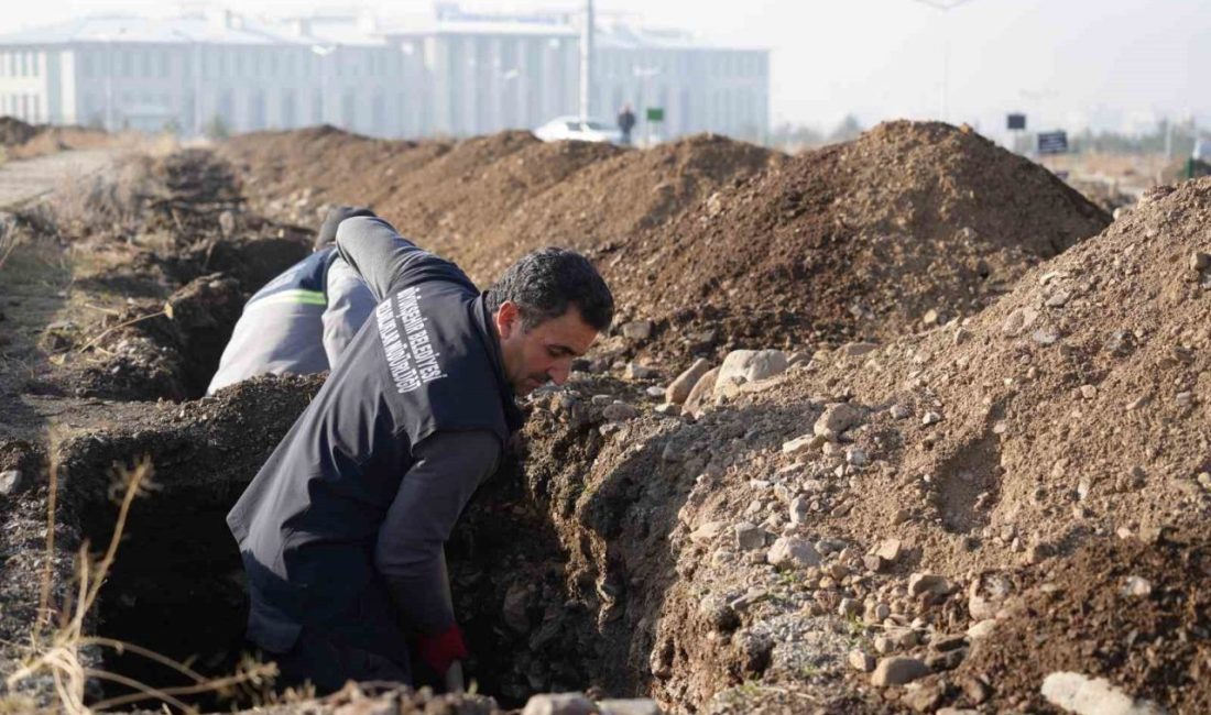 Kışın hava sıcaklığının sıfırın altında, 30 dereceye kadar düştüğü Erzurum’da