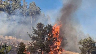 Erzurum’un Şenkaya ilçesinde üç ayrı noktada çıkan orman yangınlarından ikisi
