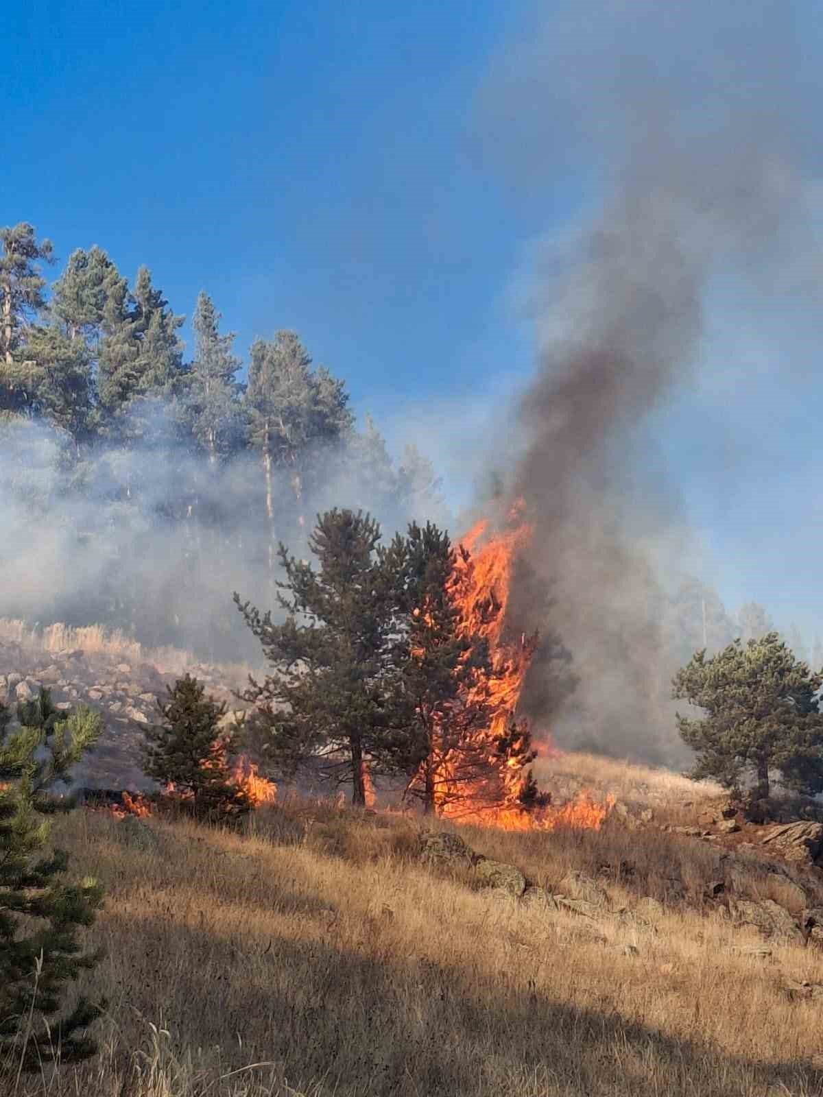 Erzurum’un Şenkaya ilçesinde üç ayrı noktada çıkan orman yangınlarından ikisi