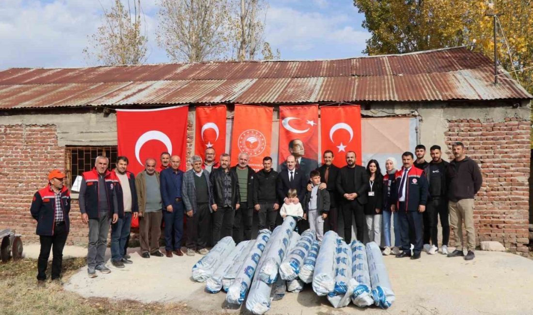 Erzurum’un Oltu ilçesinde 18 çiftçinin serelarının örtüleri, İlçe Tarım ve