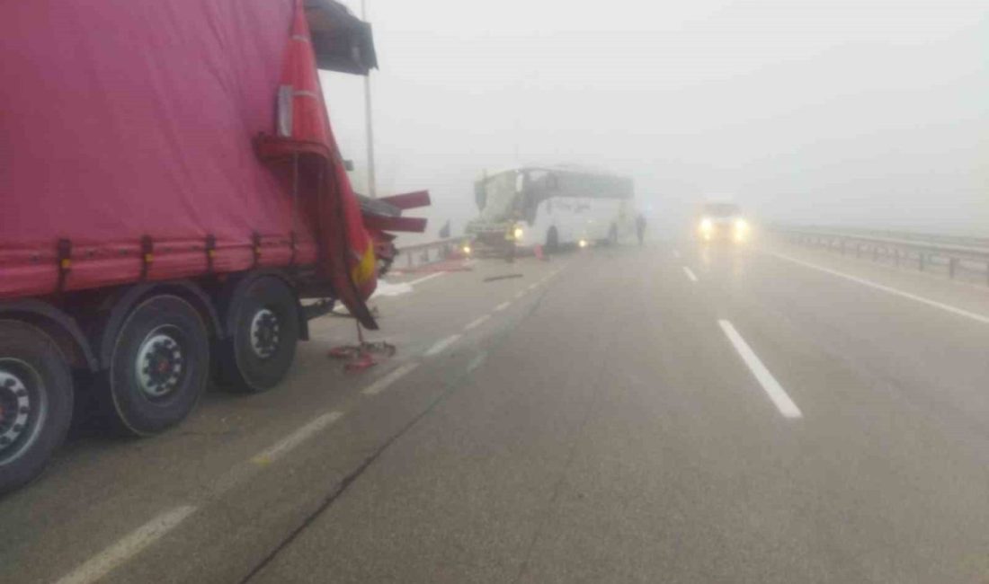 Erzurum’da dün geceden bu yana etkili olan sis kazalara sebep