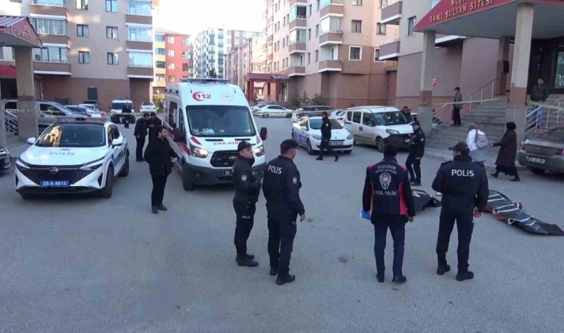 Erzurum’da aynı kurumda çalıştığı ve takıntılı olduğu Nermin Tirit’i geçtiğimiz