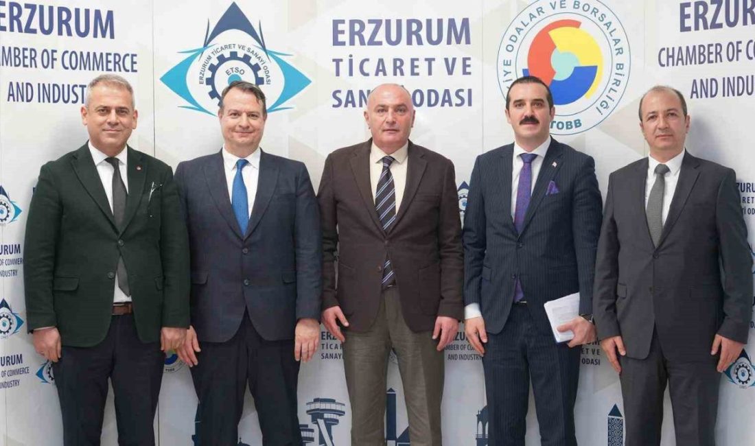 KOSGEB Başkan Yardımcısı Selim Serkan Ercan, Ekosistem Destekleri Dairesi Başkanı