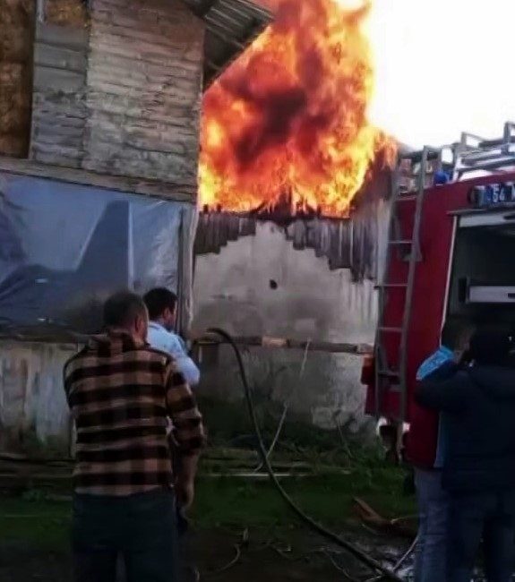 Sakarya’nın Hendek ilçesinde evde çıkan yangın bitişiğindeki samanlığa sıçradı. Ev